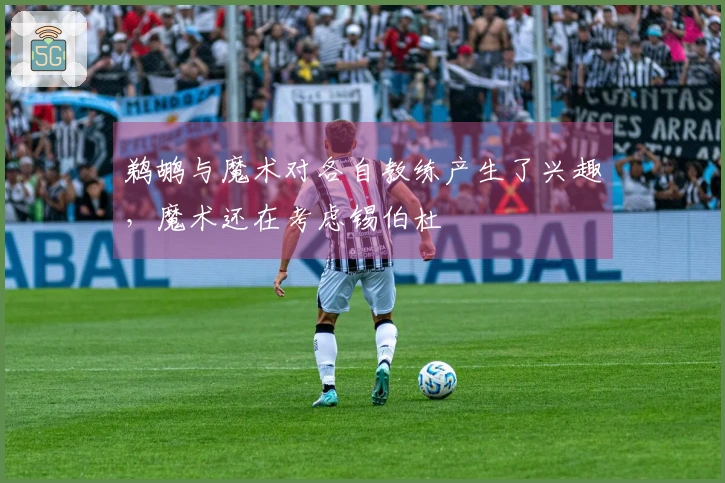 鹈鹕与魔术对各自教练产生了兴趣，魔术还在考虑锡伯杜