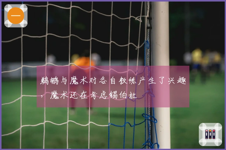 鹈鹕与魔术对各自教练产生了兴趣，魔术还在考虑锡伯杜